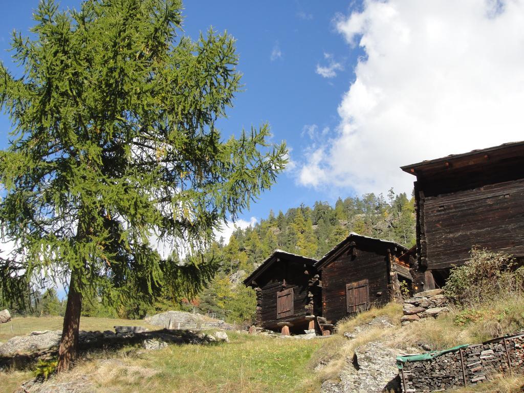 شقة Haus Alpenstern ساس-غروند المظهر الخارجي الصورة