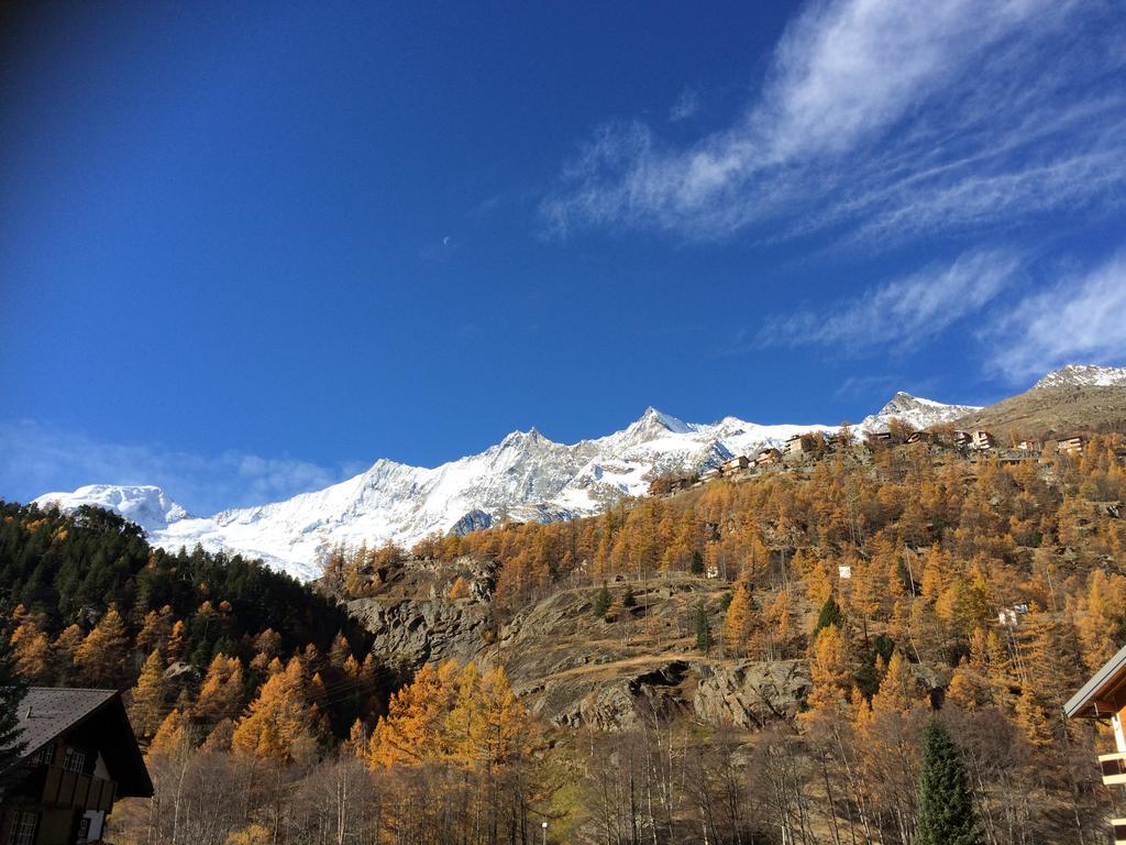 شقة Haus Alpenstern ساس-غروند المظهر الخارجي الصورة