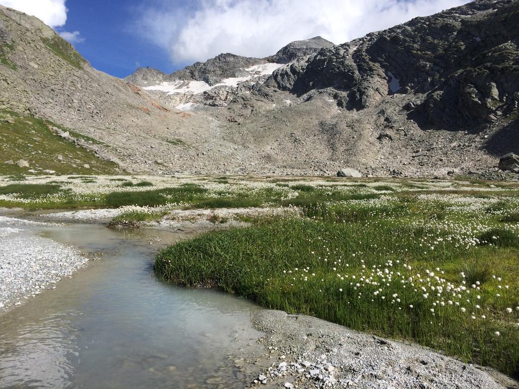 شقة Haus Alpenstern ساس-غروند المظهر الخارجي الصورة