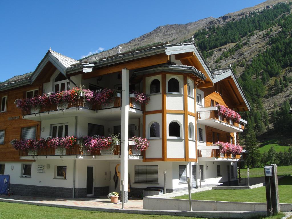 شقة Haus Alpenstern ساس-غروند المظهر الخارجي الصورة